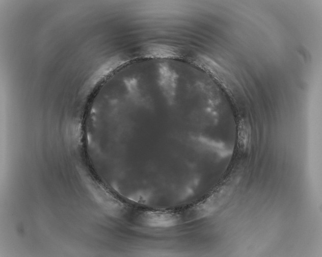 X0000111230351200908131127