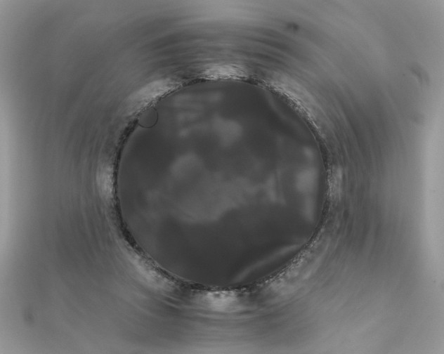 X0000111230353200908131127