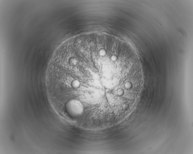 X0000111230354200908131127