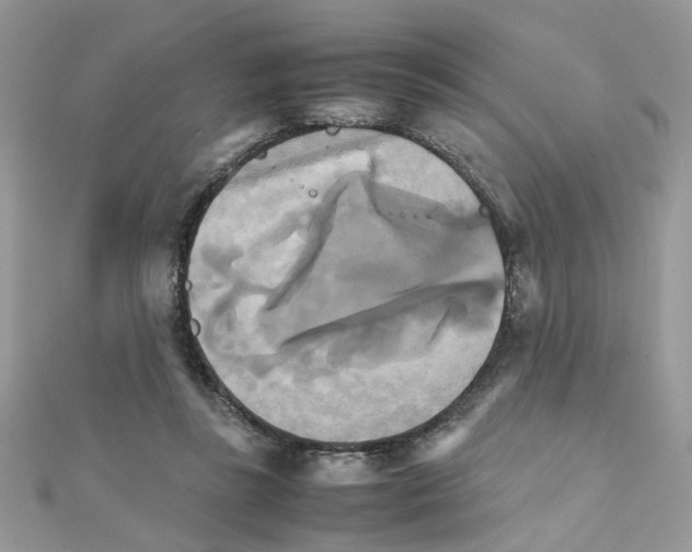 X0000111230355200908131127