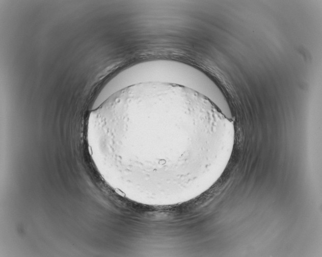 X0000111230356200908131127