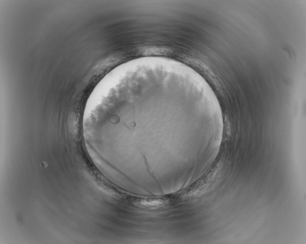 X0000111230357200908131127