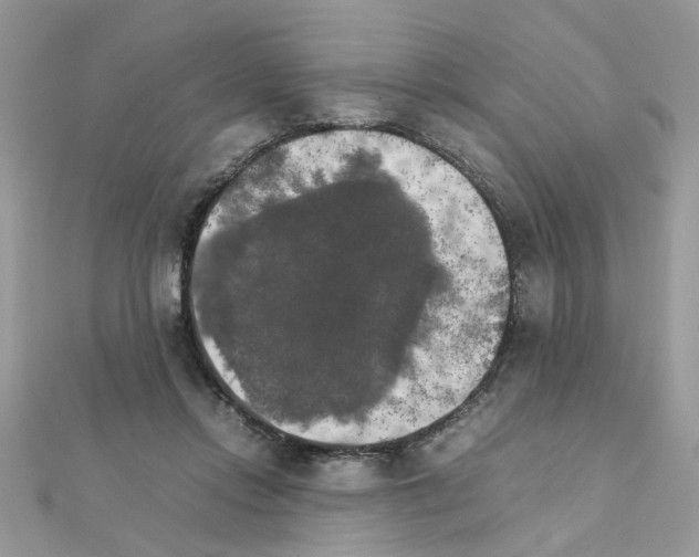 X0000111230358200908131127