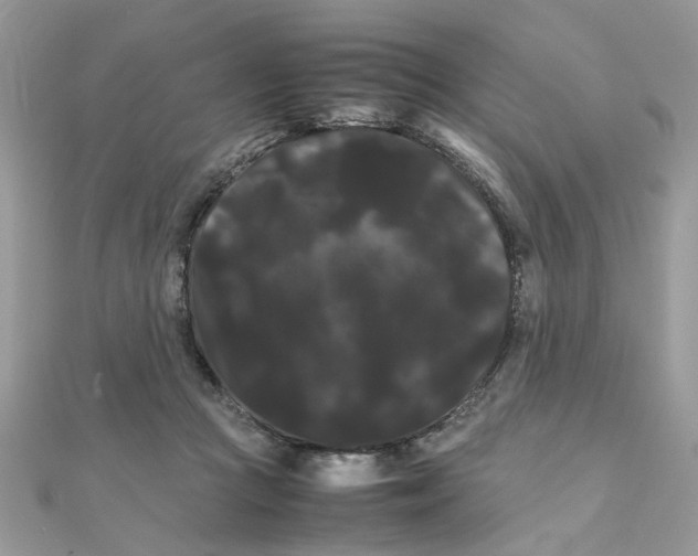 X0000111230361200908131127