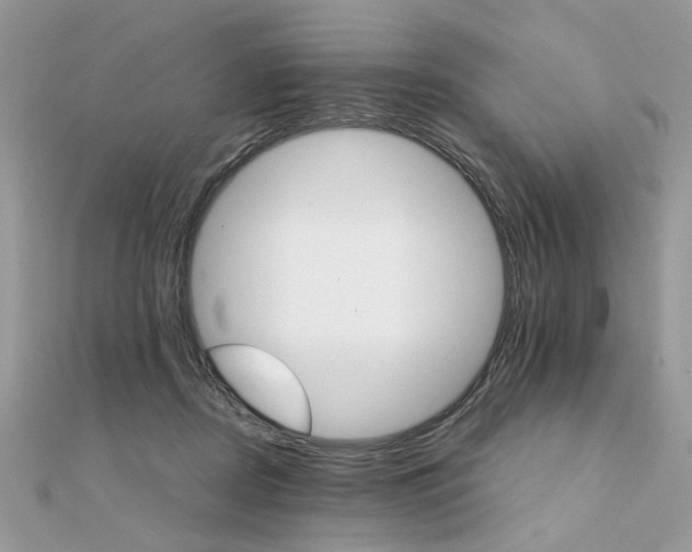 X0000111230362200908131127