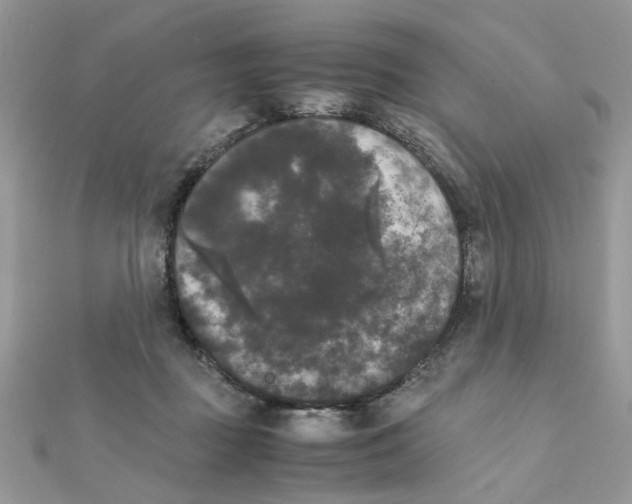 X0000111230363200908131127