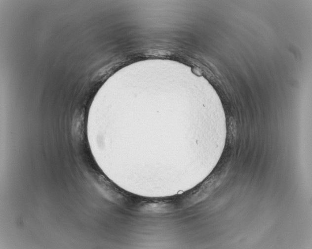 X0000111230364200908131127