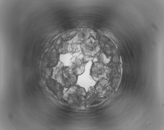 X0000111230365200908131127