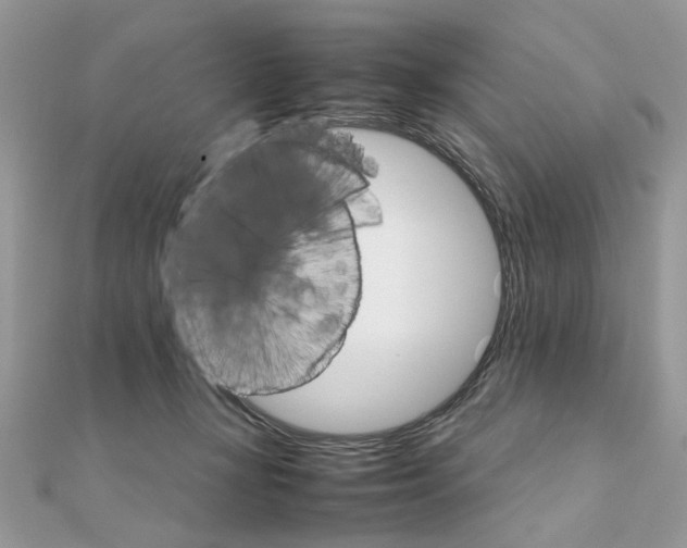 X0000111230367200908131127