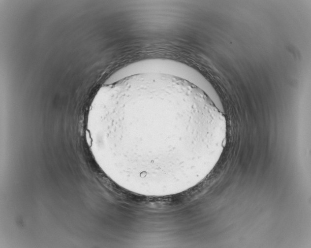 X0000111230368200908131127