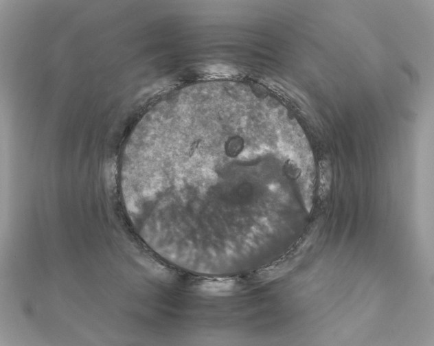 X0000111230369200908131127