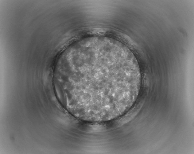 X0000111230370200908131127