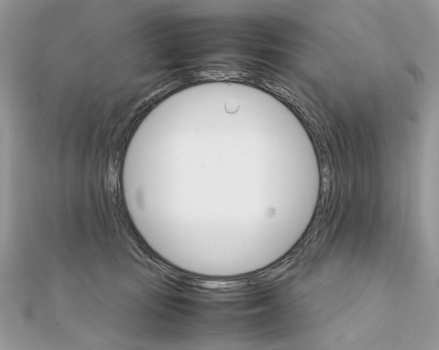 X0000111230371200908131127