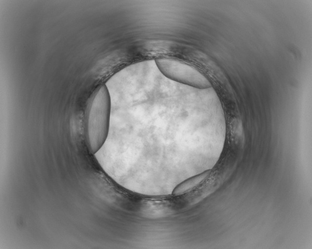 X0000111230372200908131127