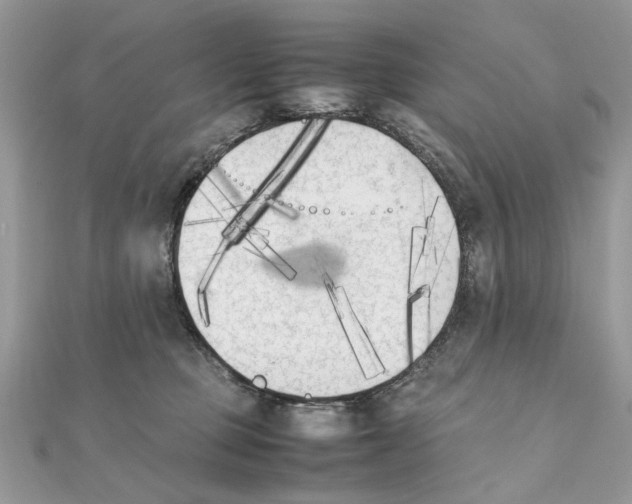 X0000111230373200908131127