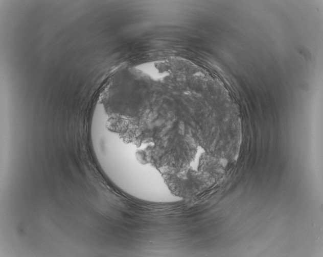 X0000111230374200908131127