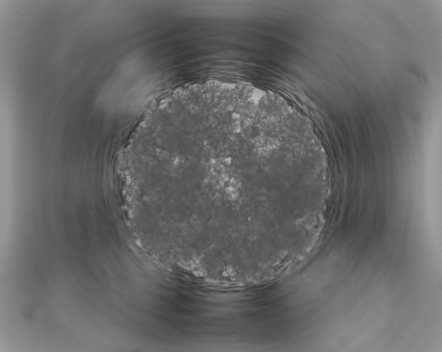 X0000111230375200908131127
