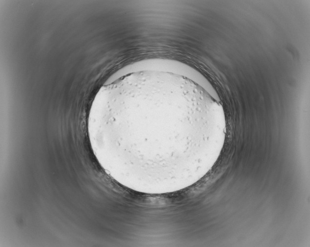 X0000111230376200908131127
