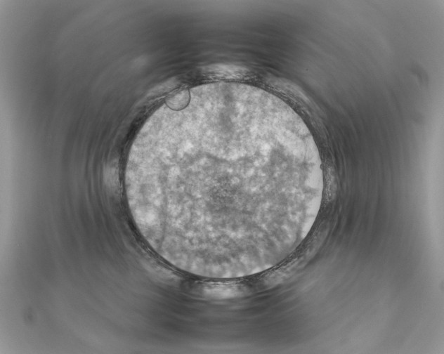 X0000111230377200908131127