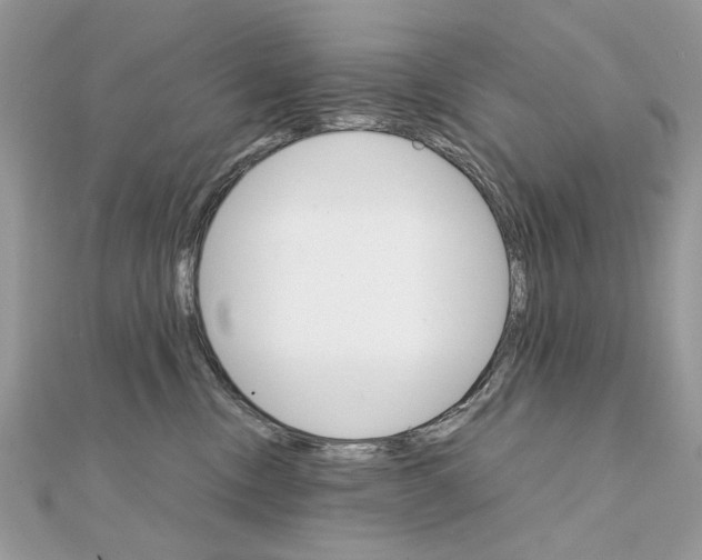 X0000111230378200908131127