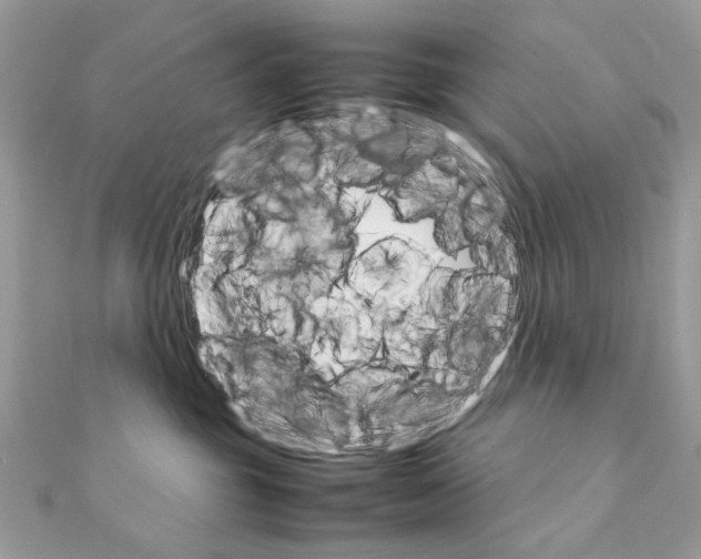 X0000111230381200908131127