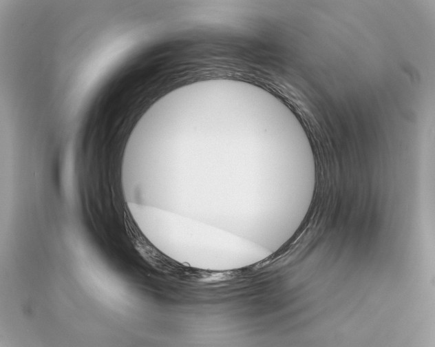 X0000111230382200908131127