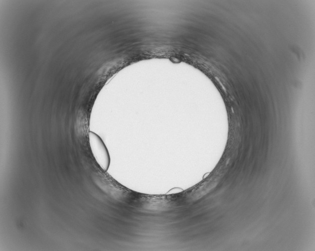 X0000111230384200908131127