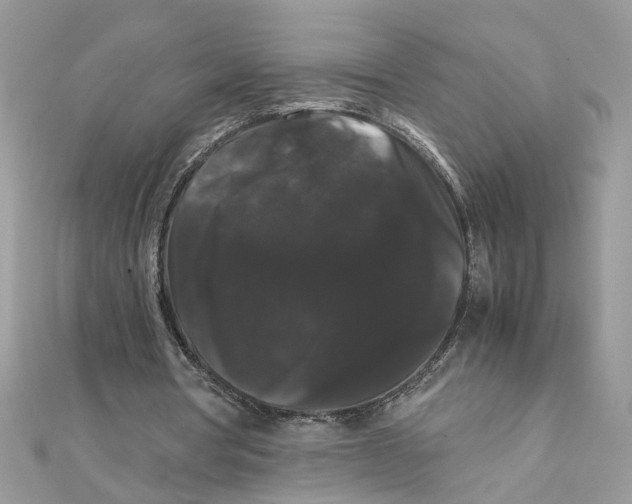 X0000111230386200908131127