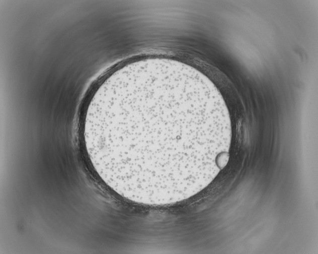 X0000111230388200908131127