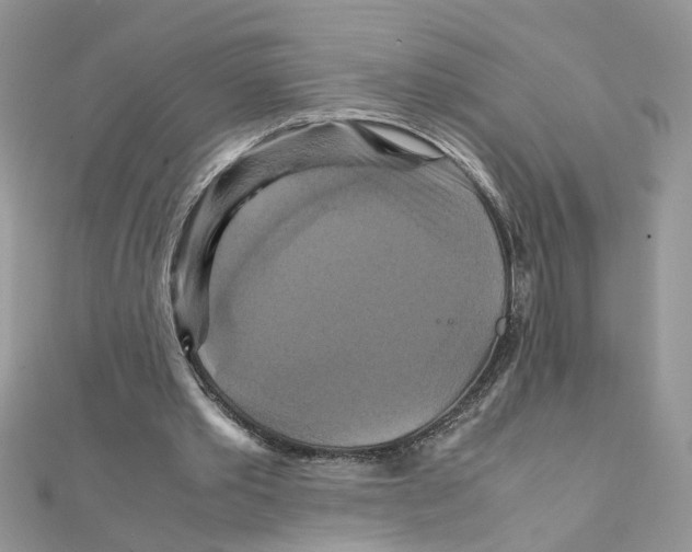 X0000111230389200908131127