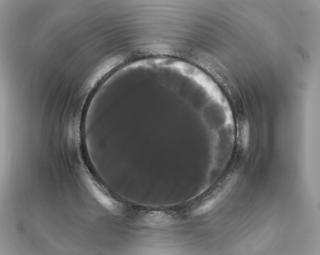 X0000111230390200908131127
