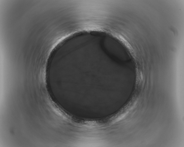 X0000111230391200908131127