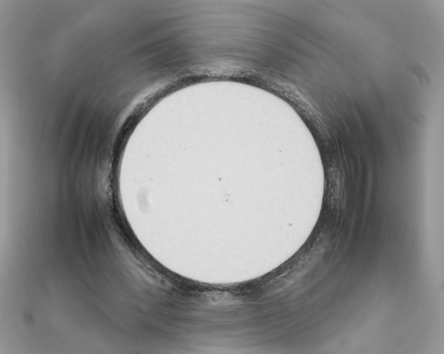 X0000111230392200908131127