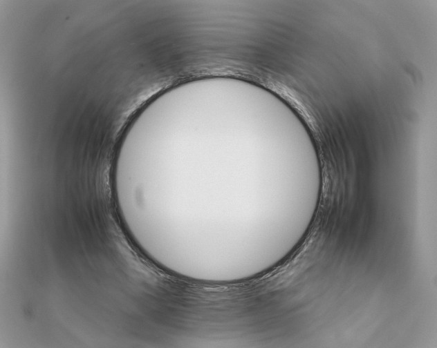 X0000111230394200908131127