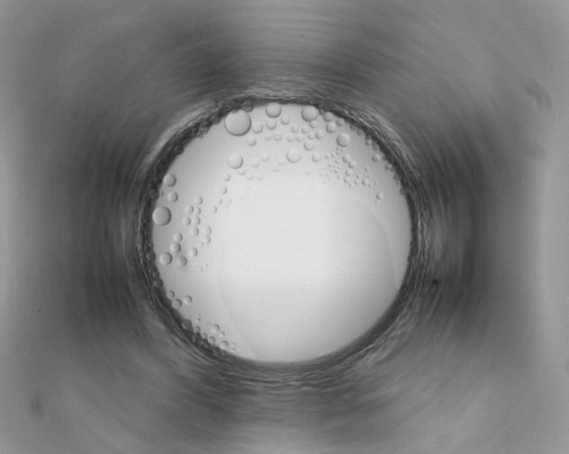 X0000111230396200908131127
