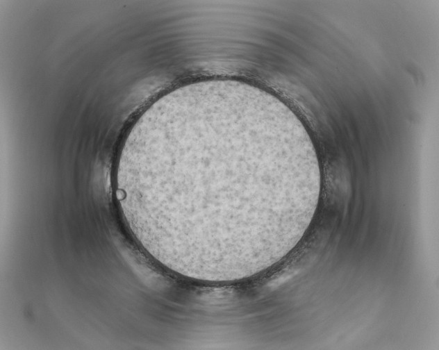 X0000111230398200908131127