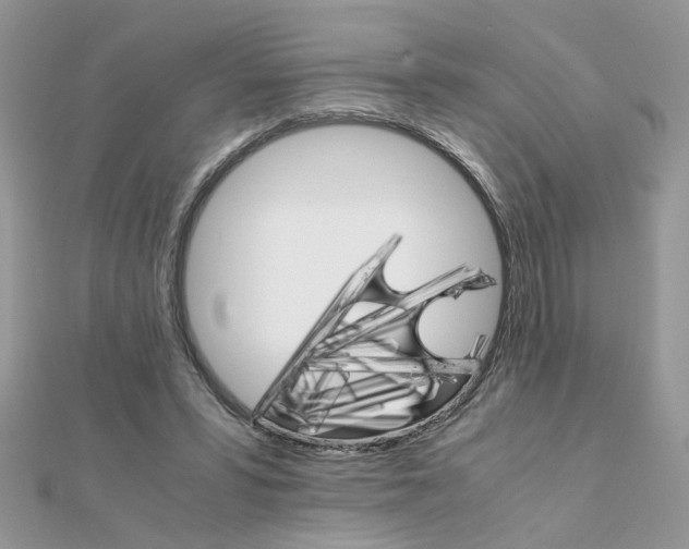 X0000111230399200908131127