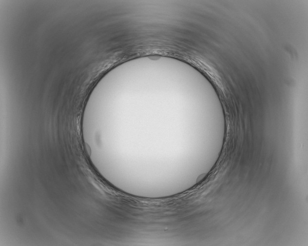 X0000111230401200908131127