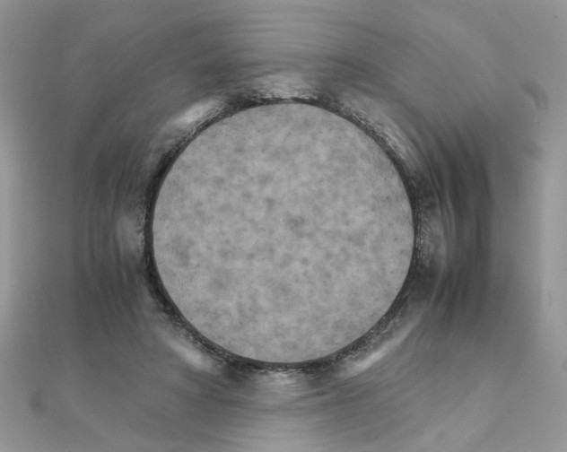 X0000111230402200908131127