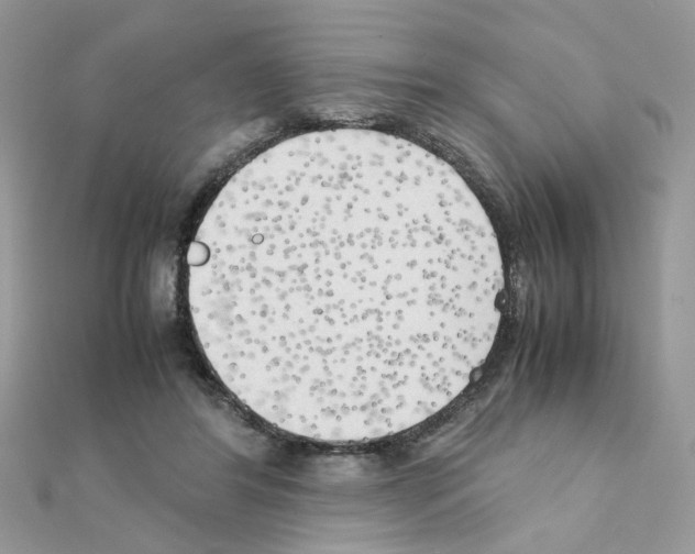 X0000111230404200908131127