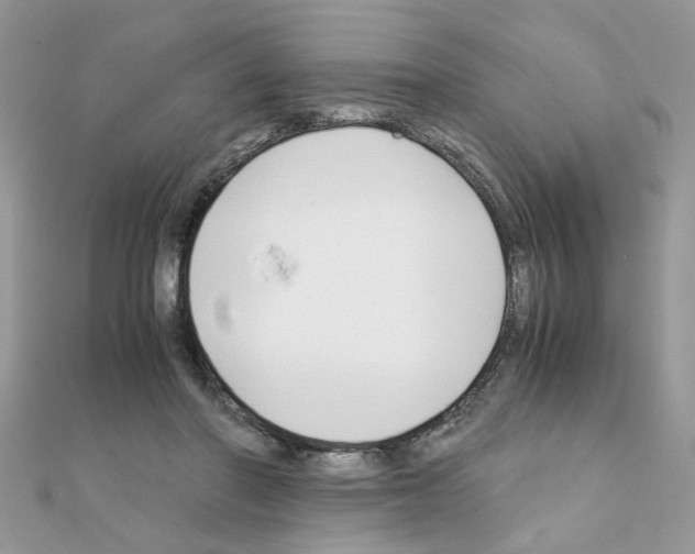 X0000111230406200908131127