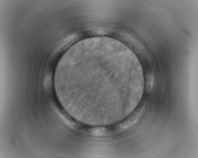 X0000111230410200908131127