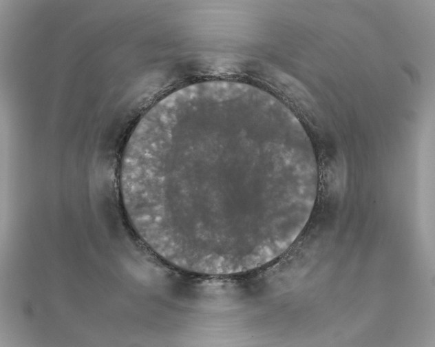 X0000111230415200908131126
