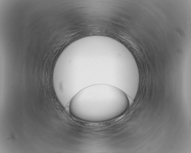 X0000111230417200908131126
