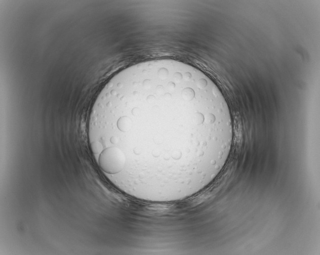 X0000111230418200908131126