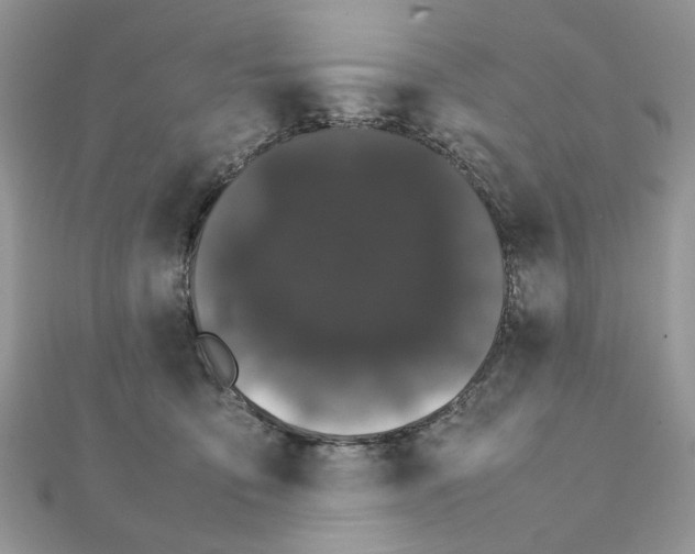 X0000111230419200908131126