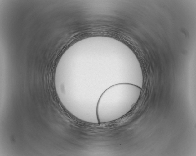 X0000111230421200908131126