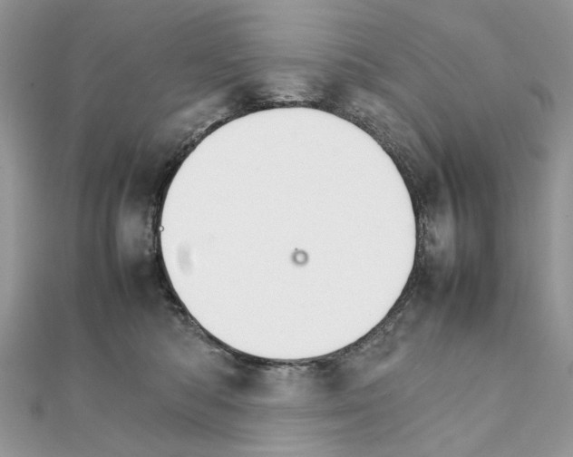 X0000111230422200908131126