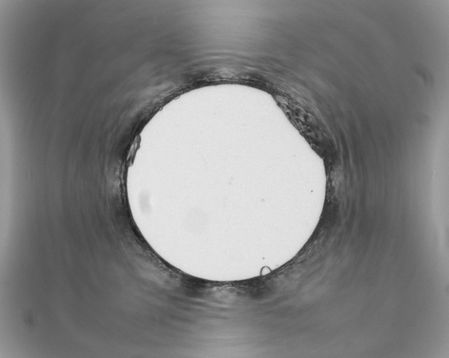 X0000111230423200908131126