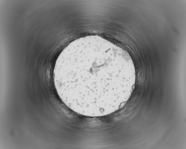 X0000111230424200908131126